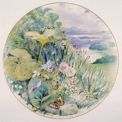 Wild Flowers and Vegetation, in a Lakeland District by William Linnaeus Casey